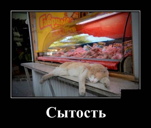 Демотиваторы (30 фото)
