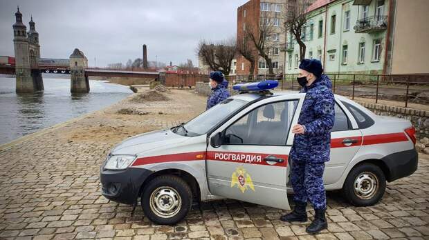 В Калининградской области сотрудники Росгвардии задержали граждан подозреваемых в краже