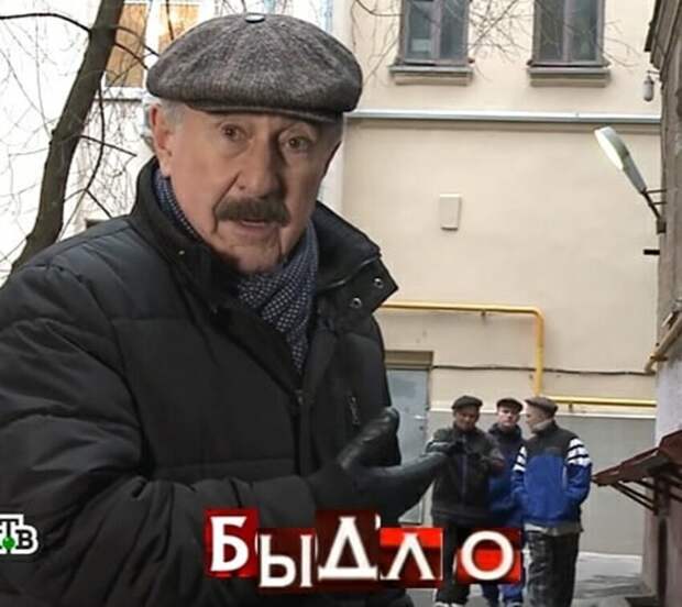 Быдло Быдло