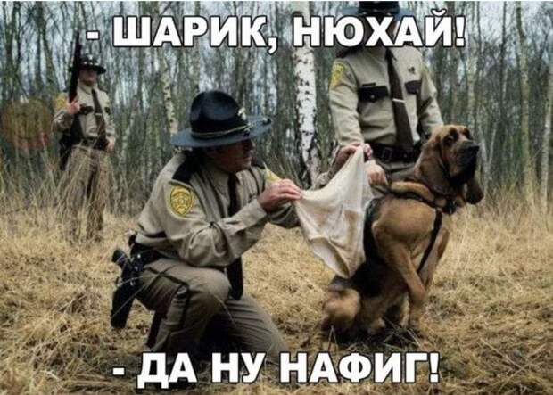 www.vsyako.net