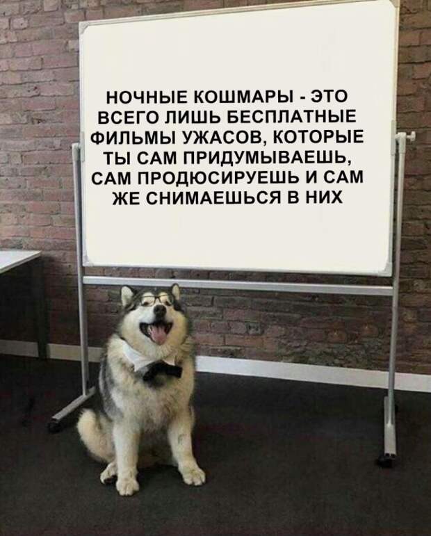 Подборка картинок. Дневной выпуск (30 фото)