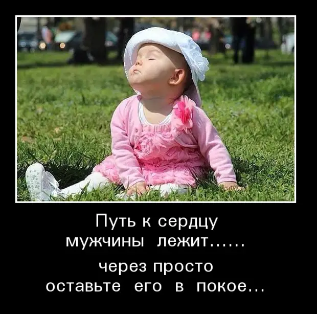 Картинки демотиваторы смешные позитивные