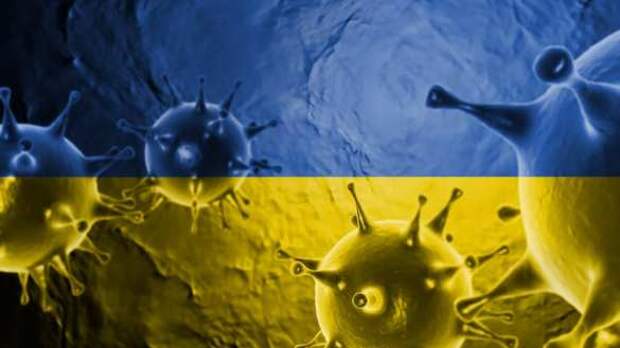 Украина хочет предложить бартер за вакцину от коронавируса | Русская весна