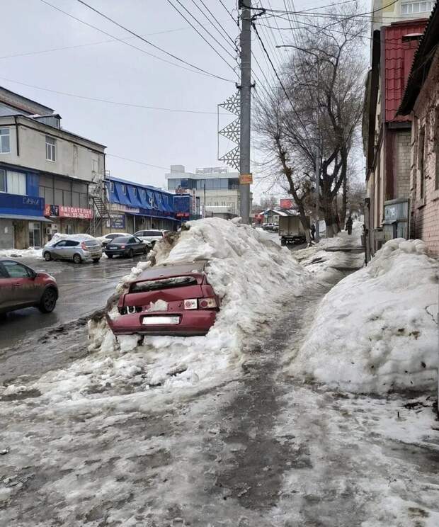 2. Они робко показываются из-под снега