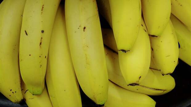 Японские учёные вывели чудо-банан