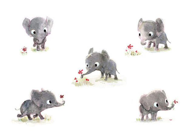 Cute Animal Illustration