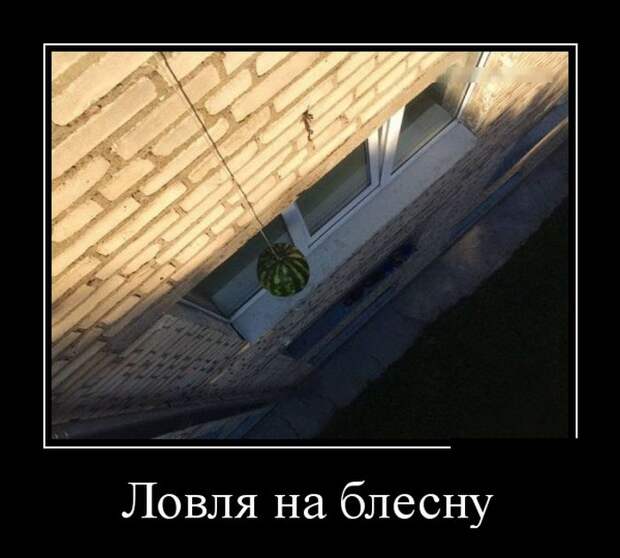 Демотиваторы (30 фото)