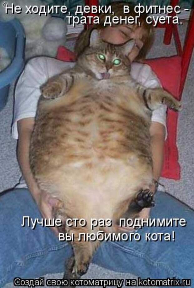 Приколы в котоматрице 29