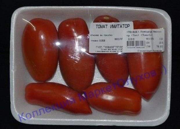 perly-kartinki-smeshnye-kartinki-fotoprikoly