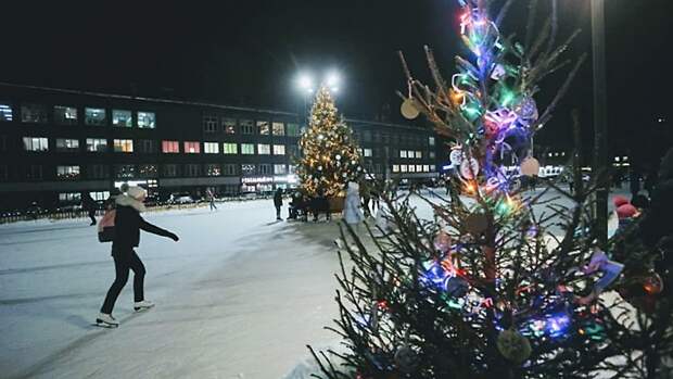 Стало известно, чем россияне чаще всего занимались в новогодние праздники