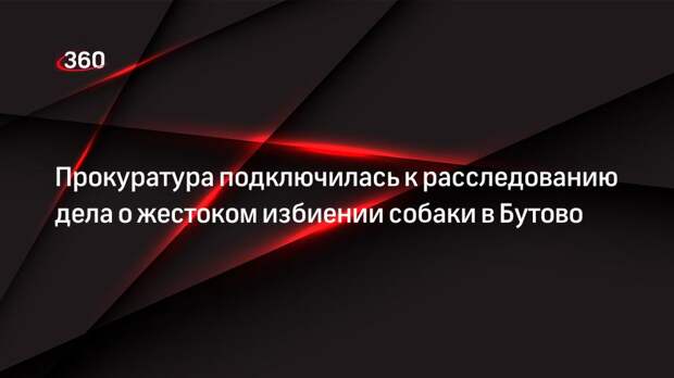 Прокуратура подключилась к расследованию дела о жестоком избиении собаки в Бутово
