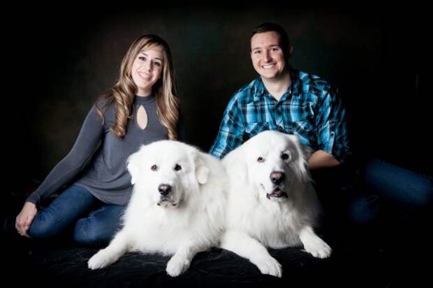 Great Pyrenees | It's Dog or Nothing