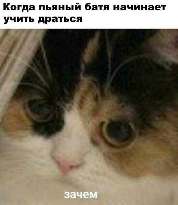 QwIifh4bxXw