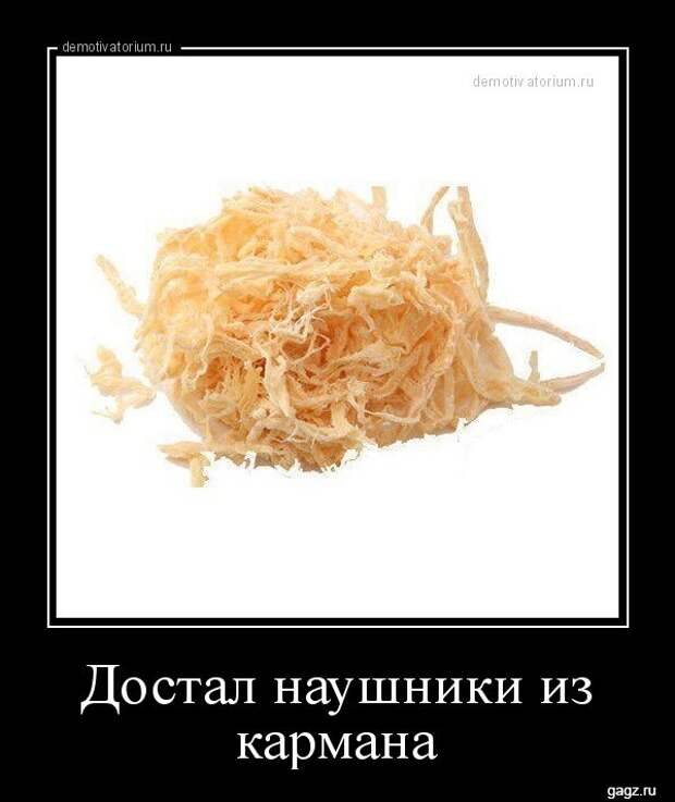 demotivators_funny_pics_gagz_ru_001190