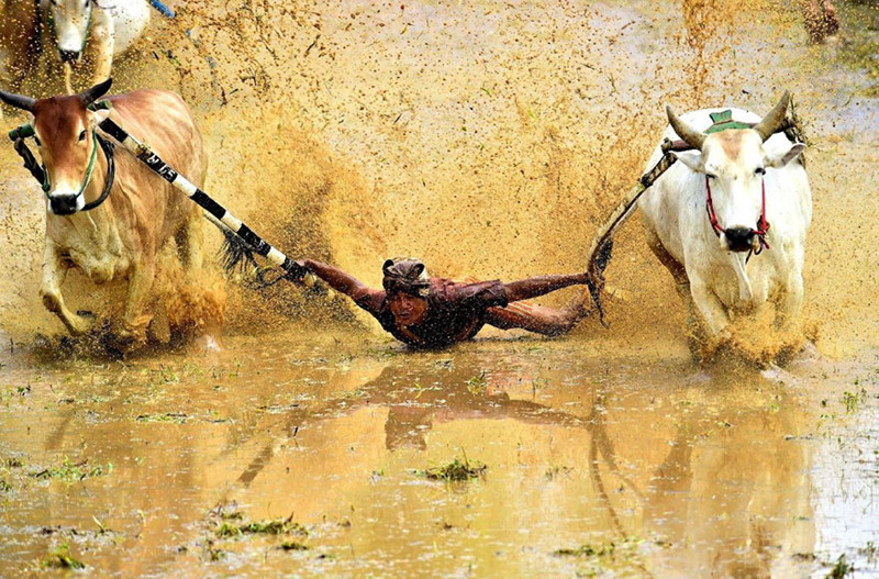 25. Я не Супермен, Индонезия national geographic, вокруг света, природа, фотография