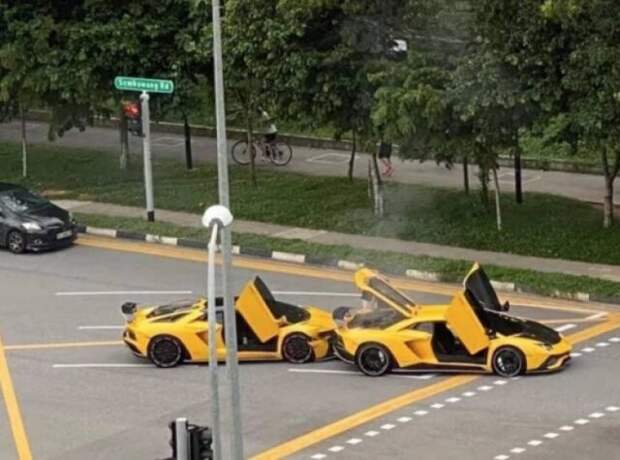 Неожиданные сходства и случайные совпадения на снимках