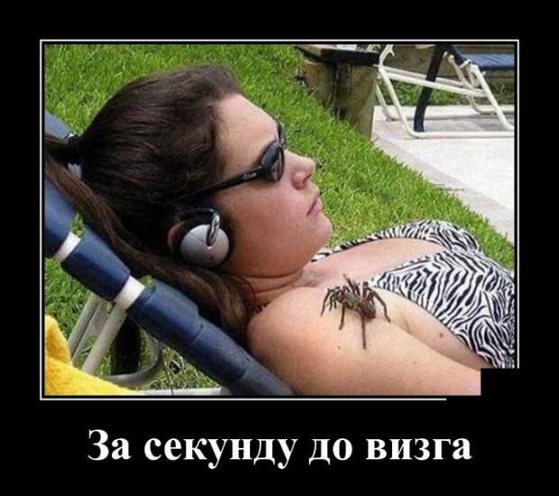 Демотиваторы (30 фото)