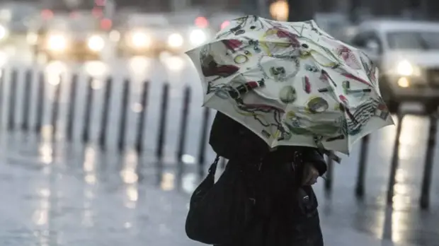 В МЧС предупредили об усилении ветра до 18 м/с в Петербурге 5 апреля