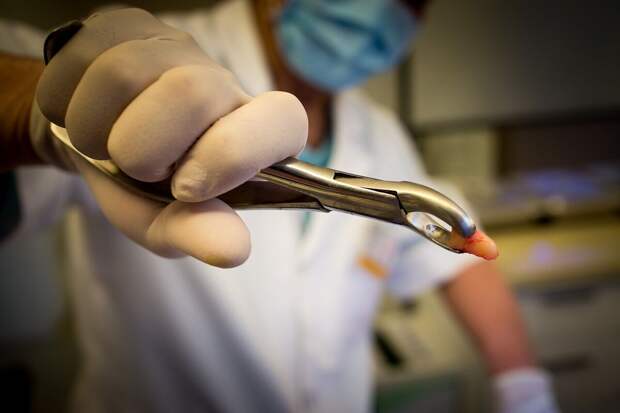 "Известия": в РФ около 45% стоматологий работают нелегально или с нарушениями