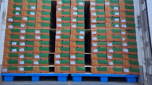 На Урал привезли крупную партию личи и маракуйи