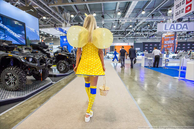 ММАС-2016