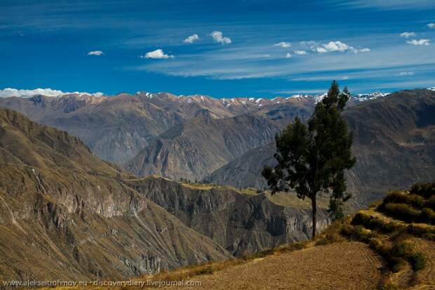 Спускаемся в глубочайший каньон на Земле colca14 Спускаемся в глубочайший каньон на Земле