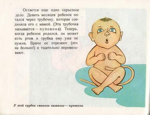 Откуда я взялся (35 фото) Откуда я взялся (35 фото)