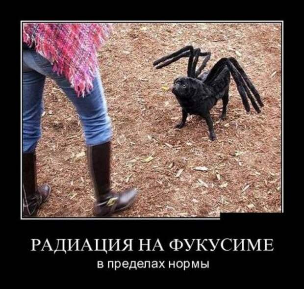 Демотиваторы (15 фото)