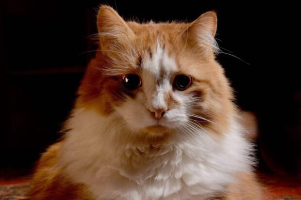 5 5