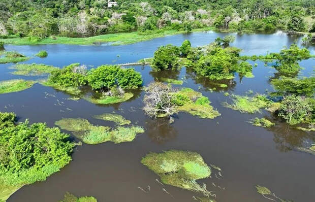 Стройка неизбежно разрушит экосистему Стройка неизбежно разрушит экосистему