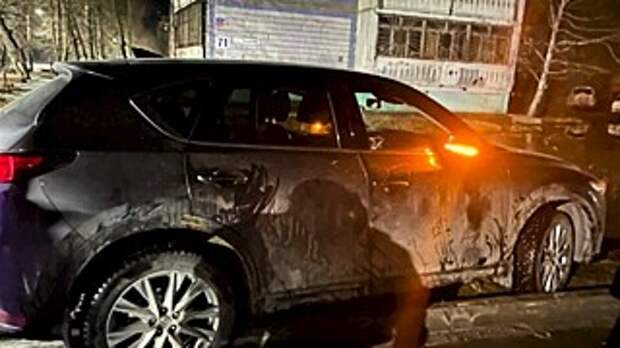 Бийчанина на семь лет отправили в колонию за сбитую насмерть девушку