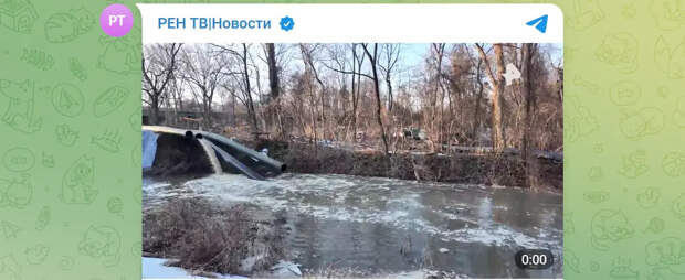 Появилось видео экологической катастрофы в центре Вашингтона