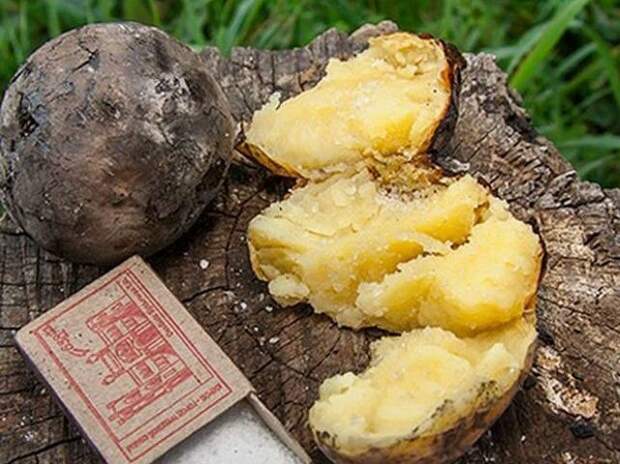 Эх картошка, картошка в кожуре уголек... Фото Яндекс.Картинки. 
