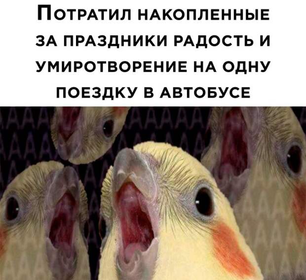 Смешные картинки 11 января 2022 года
