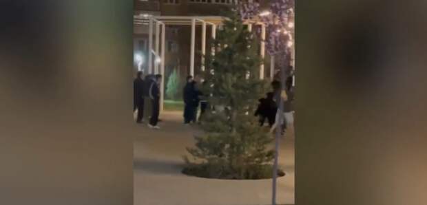 Подростки устроили массовую драку в астраханском Парке Знаний