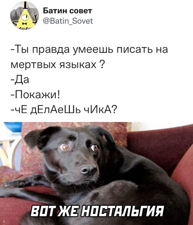 Смешные картинки 31 декабря 2021 года