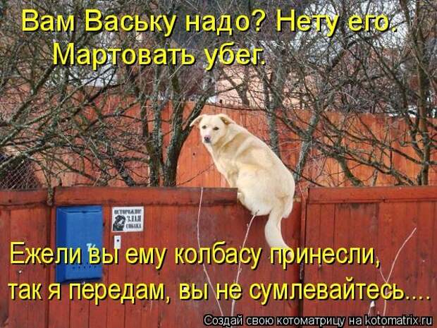 Котоматрицы