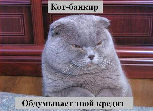 Мысли2 :) (50мыслей)