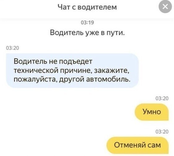 Какой хитрый Какой хитрый