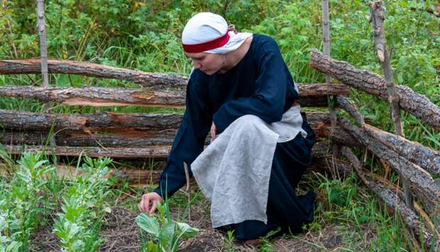 День Мавры Рассадницы 16 мая: народные приметы, что можно и нельзя делать огородникам