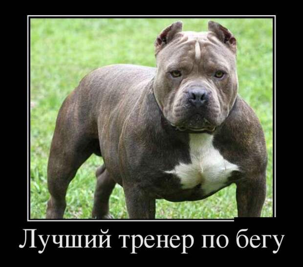 Демотиваторы (30 фото)