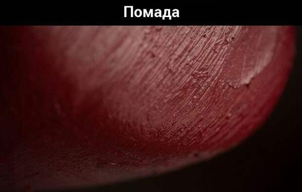Предметы из повседневной жизни под большим увеличением. Предметы из повседневной жизни под большим увеличением.