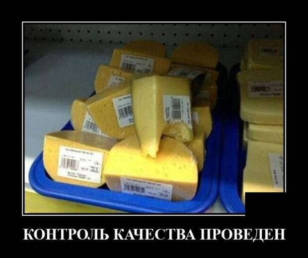 Демотиваторы 30 декабря 2021 года