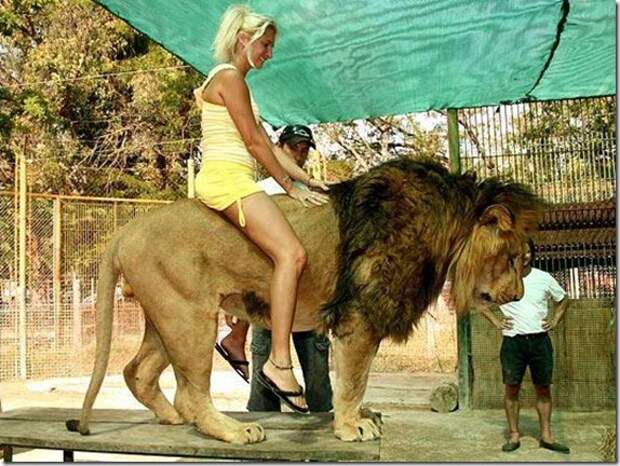 extreme-zoo_1_(funnypagenet.com)