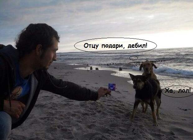 Приколы