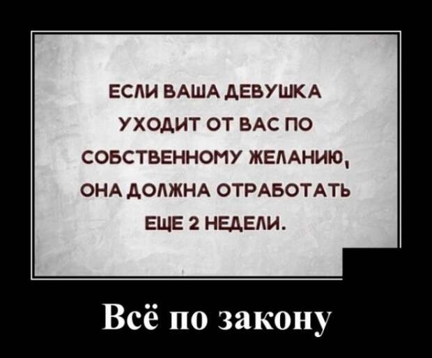 Демотиваторы