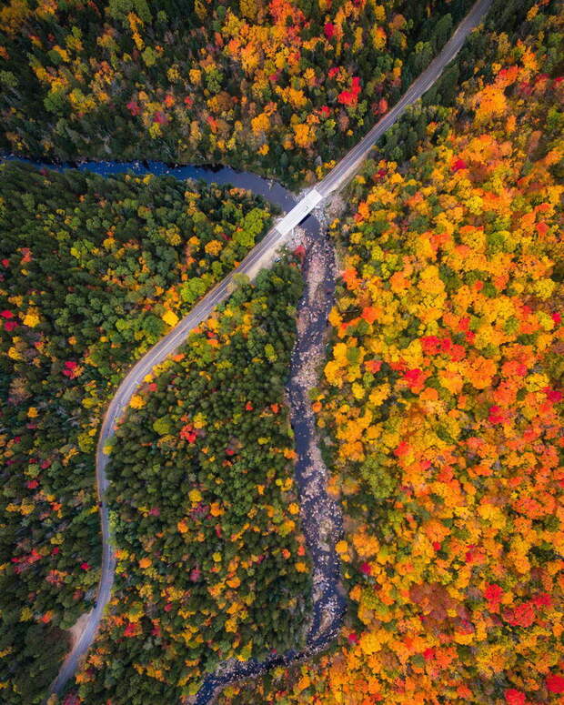 13 снимков осеннего леса в США
