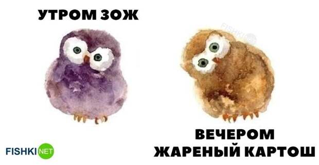 И так каждый раз И так каждый раз