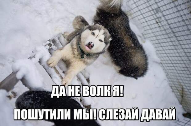 1454412558_foto-35