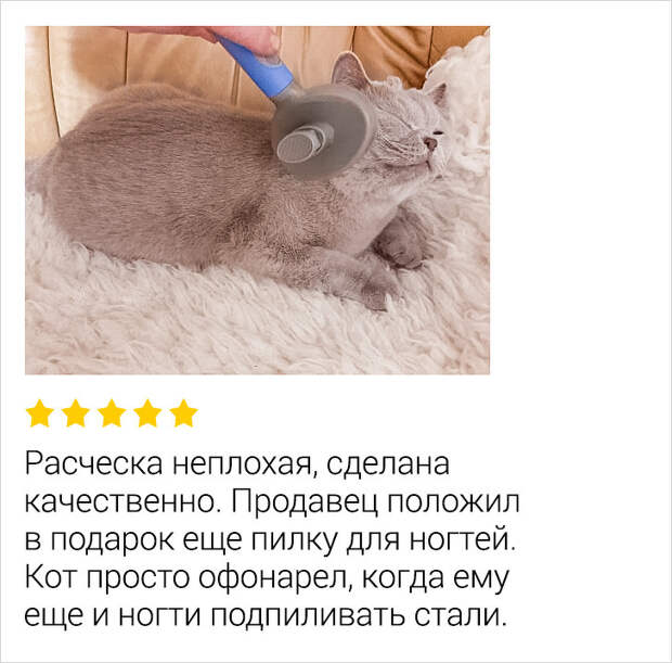 17 покупателей, которые просто хотели написать отзыв, а в итоге вызвали приступ смеха у всего интернета